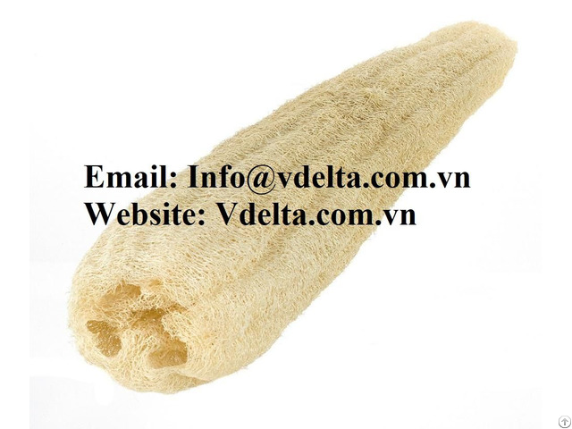 High Quality Loofah Sponge