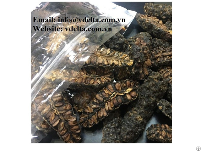 Best Price Dried Noni Fruit From Vietnam