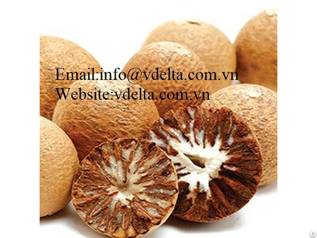 High Quality Betel Nut