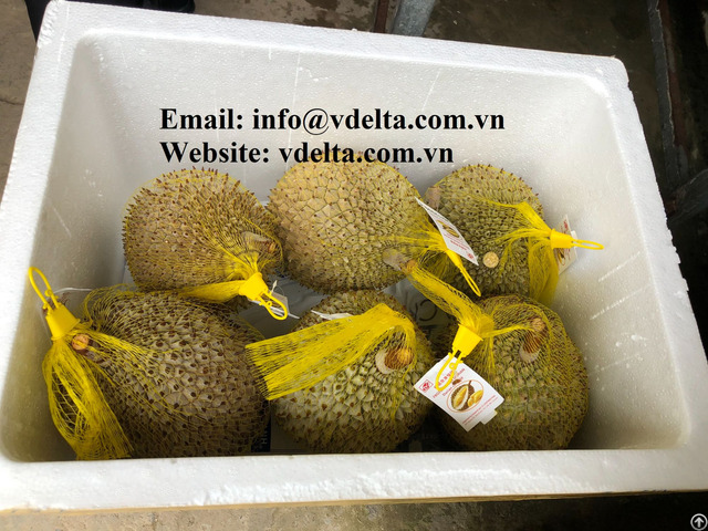 Frozen Durian From Vietnam In 2020