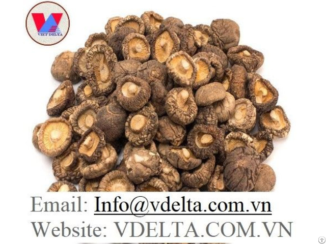 Dried Shiitake Mushroom High Quality