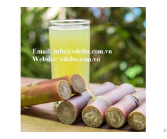 Frozen Sugarcane Hight Quality From Vietnam