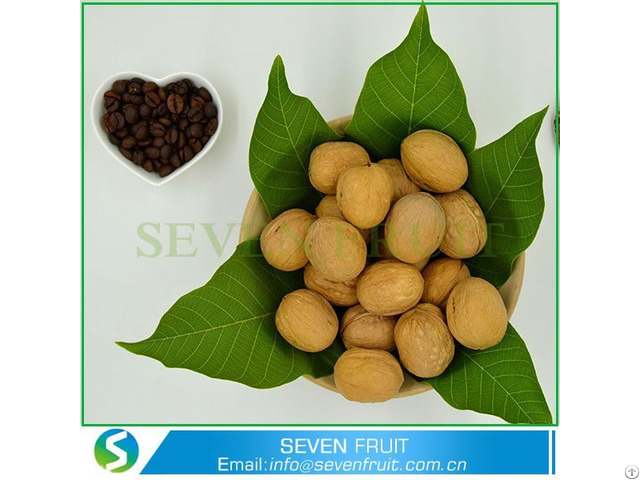 Large Size Walnuts Shell With Out Cheap