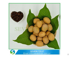 Large Size Walnuts Shell With Out Cheap