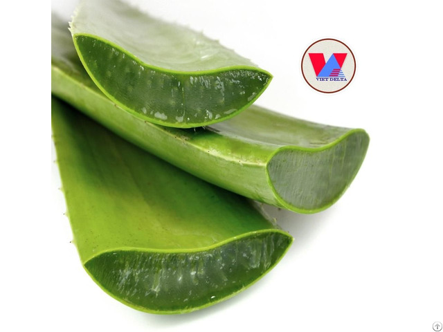 Aloe Vera Jelly From Vietnam