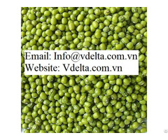 Green Mung Beans From Vietnam