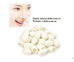 Silkworm Cocoon Hight Quality From Viet Nam
