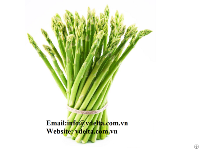 Fresh Asparagus From Vietnam