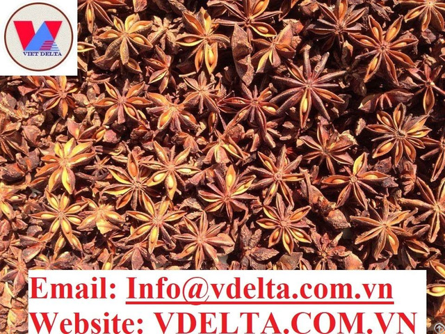 Spices Star Anise Flower Anis With The Best Quality