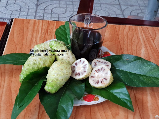 Extract Raw From Noni Fruit