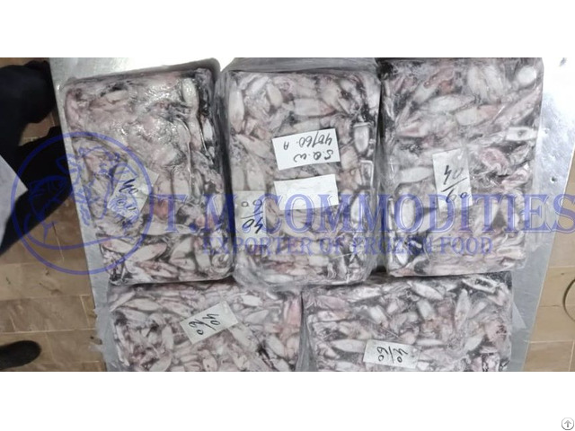 Frozen Loligo Squid For Sale