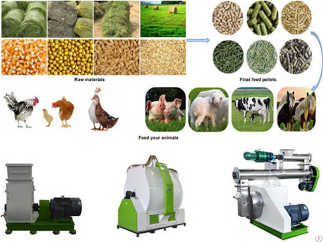 The Best Animal Feed Pellet Machine On Sale