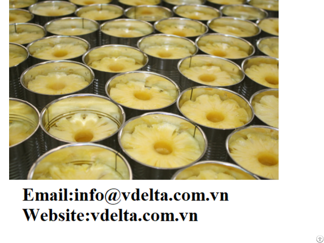 High Quality Canned Pineapple Viet Dleta