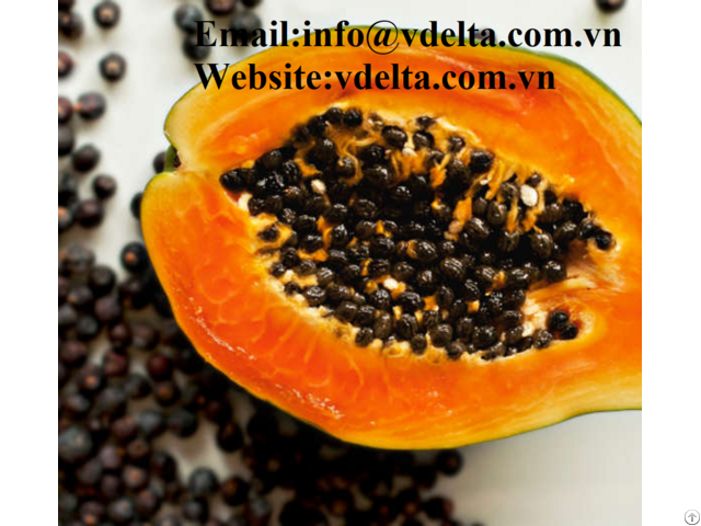 High Quality Papaya Seeds Vdelta