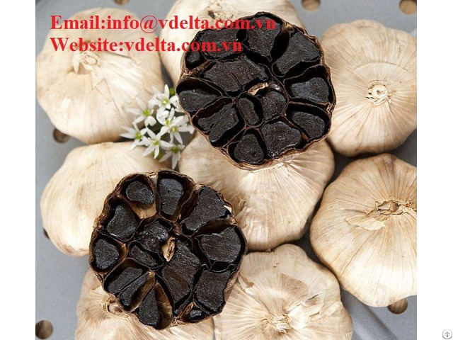 High Quality Black Garlic Vdelta