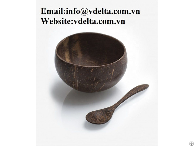 Good Looking Coconut Shell Bowl