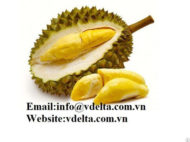 High Quality Frozen Durian Viet Delta