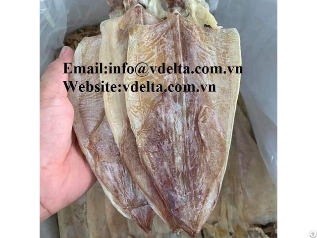 High Quality Dried Squid Viet Delta