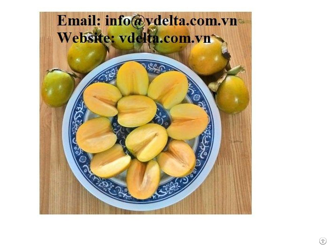 High Quality Fresh Persimmon Vdelta