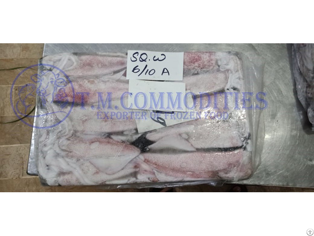 Frozen Loligo Squid Offered