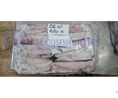Frozen Loligo Squid Offered
