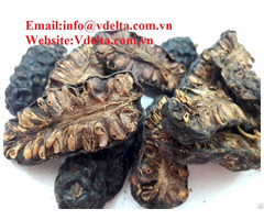 High Quality Dried Noni From Vietnam