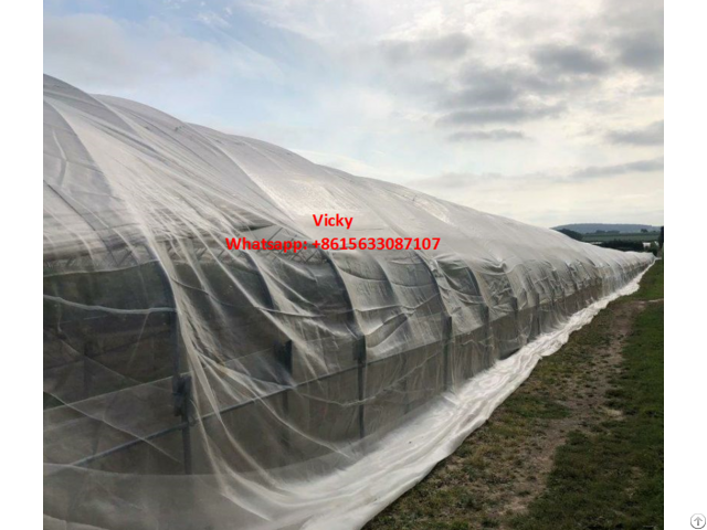 Greenhouse Agriculture Insect Net