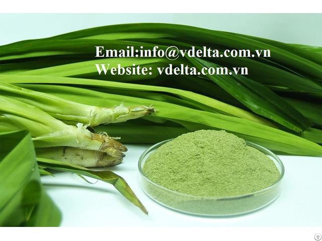 High Quality Pandan Leaf Powder Vdleta