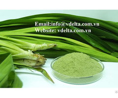 High Quality Pandan Leaf Powder Vdleta