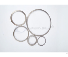 Disc Springs For Valves