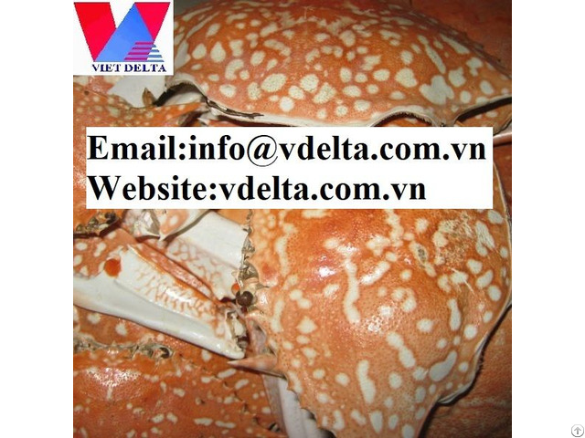 High Quality Dried Crab Shell Vdlelta