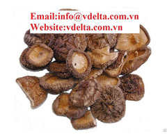 High Quality Dried Shiitake Mushroom Vdelta