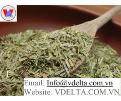 Lemongrass High Quality Vietnam