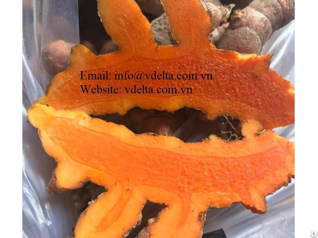 High Quality Fresh Turmeric Viet Delta