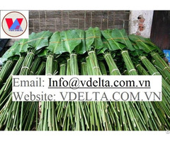 Vietnam Dried Banana Leaf