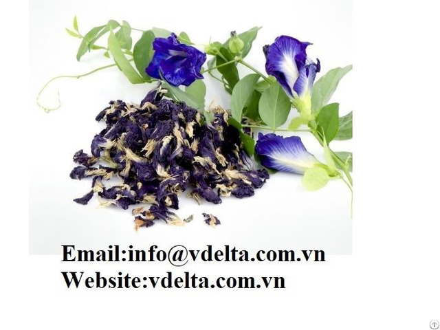 High Quality Butterfly Pea Petal Viet Delta