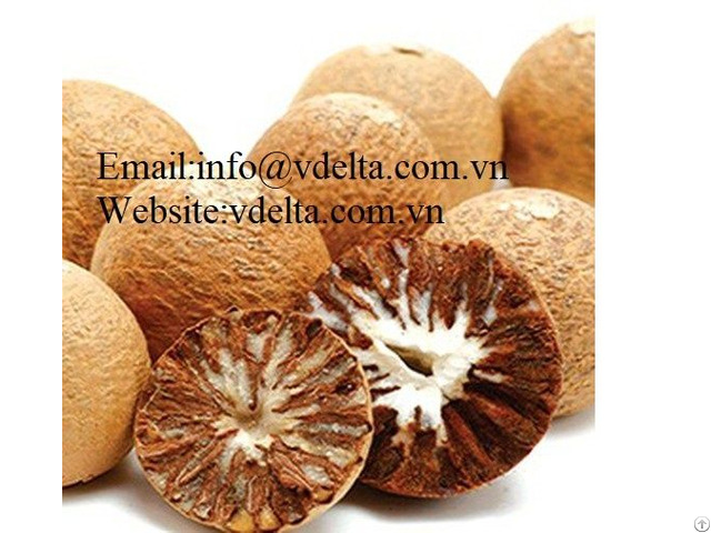 Premium Quality Natural Dried Betel Nut