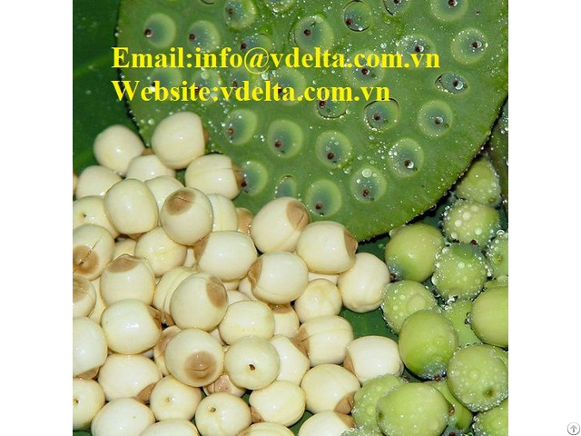 Premium Lotus Seeds Vdelta