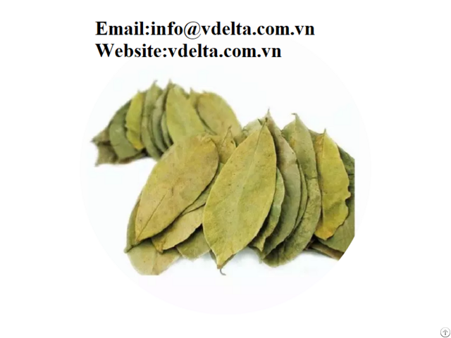 Organic Soursop Leaf Vdelta