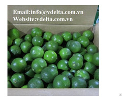 High Quality Fresh Seedless Lemon Vdelta