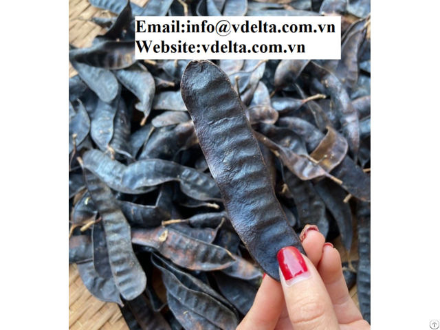 Natural High Quality Dried Locust Vdleta