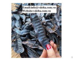 Natural High Quality Dried Locust Vdleta