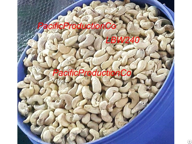 Cashewnut Kernels Vietnam Lbw240