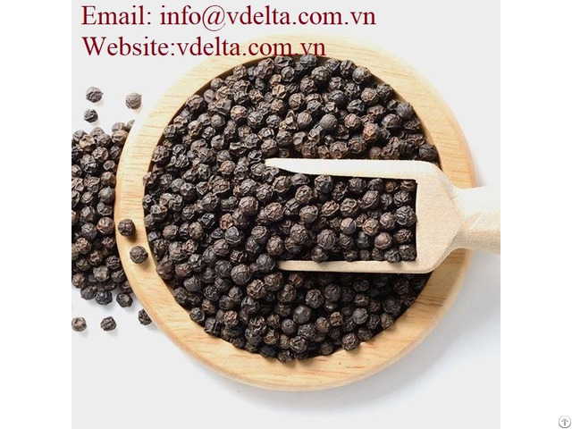 High Quality Dried Black Pepper From Viet Nam