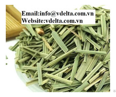 High Quality Dried Lemongrass For Good Price