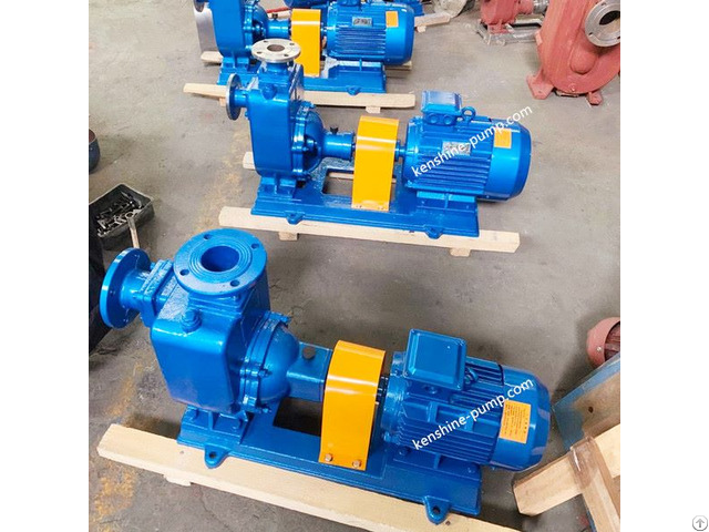 Horizontal Sewage Self Priming Pump