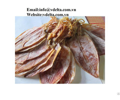 Natural High Quality Drid Cuttlefish From Viet Nam
