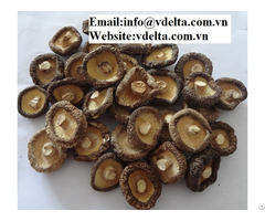 Vietnam Dried Shiitake Mushroom