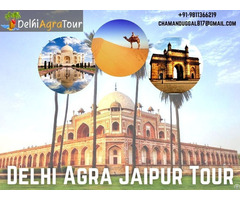 Affordable Delhi Agra Jaipur Tour Package