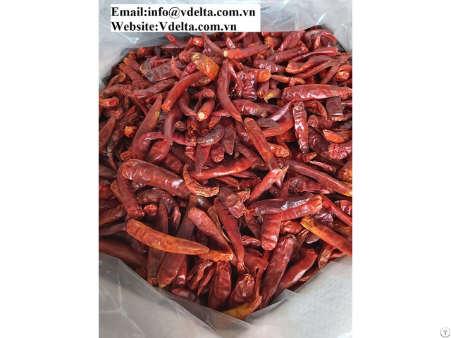 High Quality Dried Red Chili From Vietnam